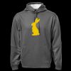 ATC™ PTECH® FLEECE HOODIE Thumbnail