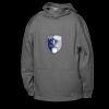 ATC™ PTECH® FLEECE YOUTH HOODIE Thumbnail