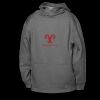 ATC™ PTECH® FLEECE YOUTH HOODIE Thumbnail